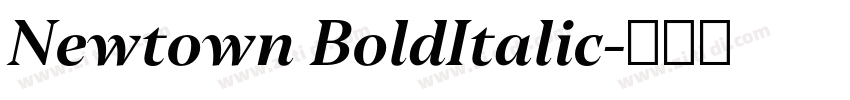 Newtown BoldItalic字体转换